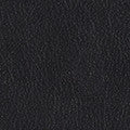 Upholstered Black Montana Leather